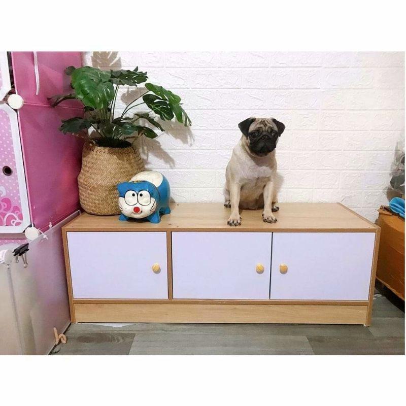 Tủ đồ, để giày dép, quần áo TỦ NGANG tiện lợi