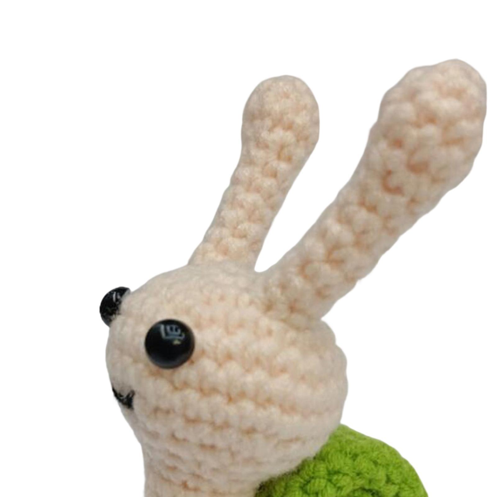 Beginner Crochet Kit Starter Pack Make Your Own Doll Includes Yarn, Hook for Adults and Kids