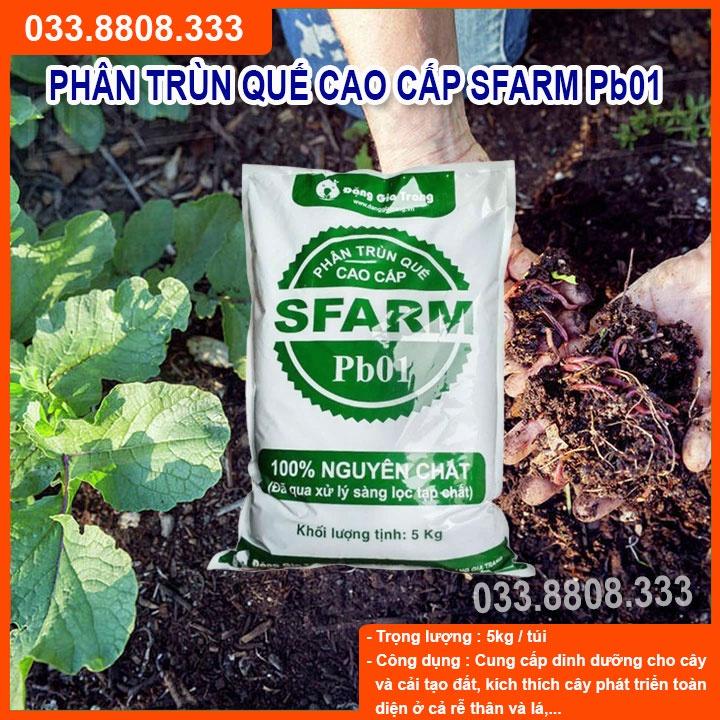 PHÂN TRÙN QUẾ SFARM PB01 BAO 5KG Chuyên bón cho rau sạch, kiểng lá và hoa hồng