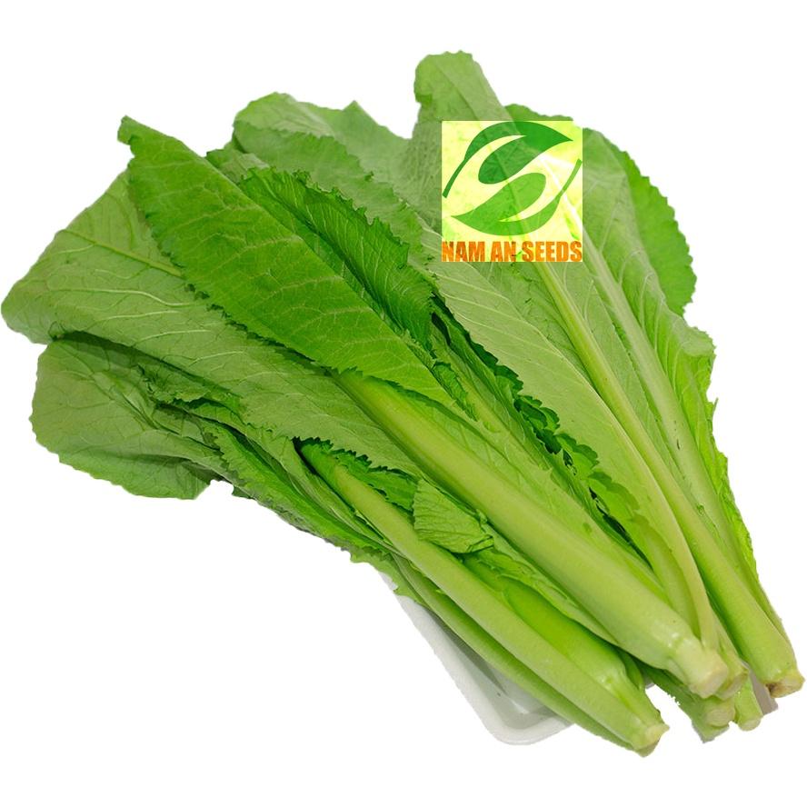 Hạt giống Cải Bẹ Xanh Mỡ Cao Sản - Chịu Nhiệt