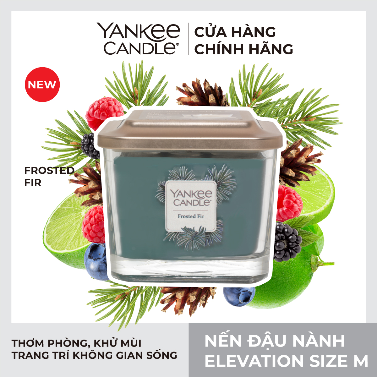 Nến ly vuông Elevation Yankee Candle size M - Frosted Fir (347g)