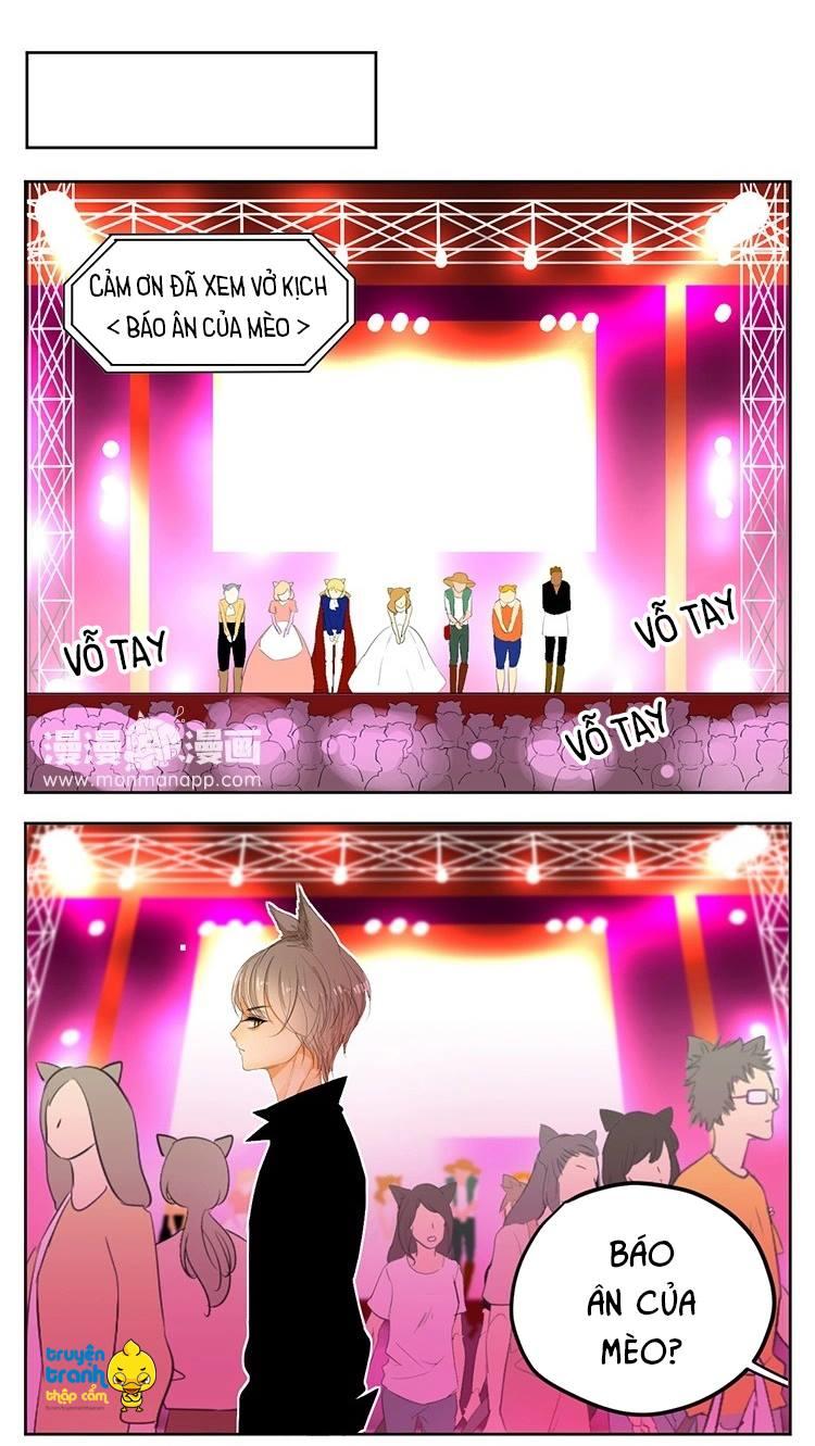 cứu mạng ! loài mèo thống trị thế giới rồi ! chapter 23 8