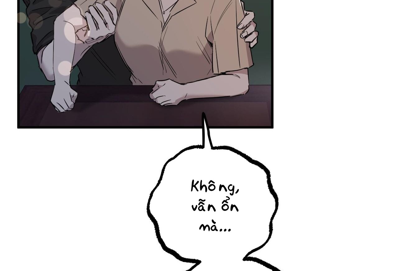 những chú thỏ của hapypy chapter 58 21