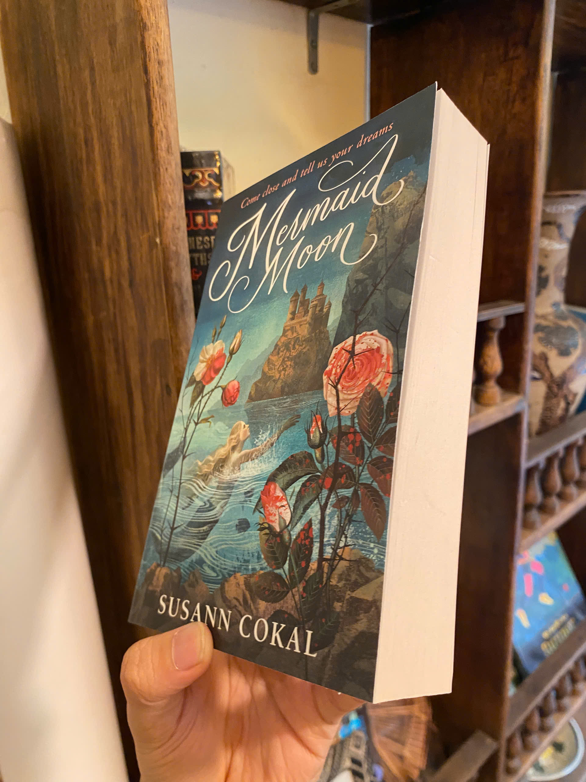 Sách - Mermaid Moon by Susann Cokal | Young Adult Fantasy / Retellings Fiction / Ngoại văn nhập khẩu