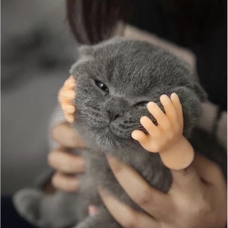 Đồ chơi bàn tay mini siêu độc đáo - Bàn tay tí hon đồ chơi bé, mát xa cho thú cưng cực vui