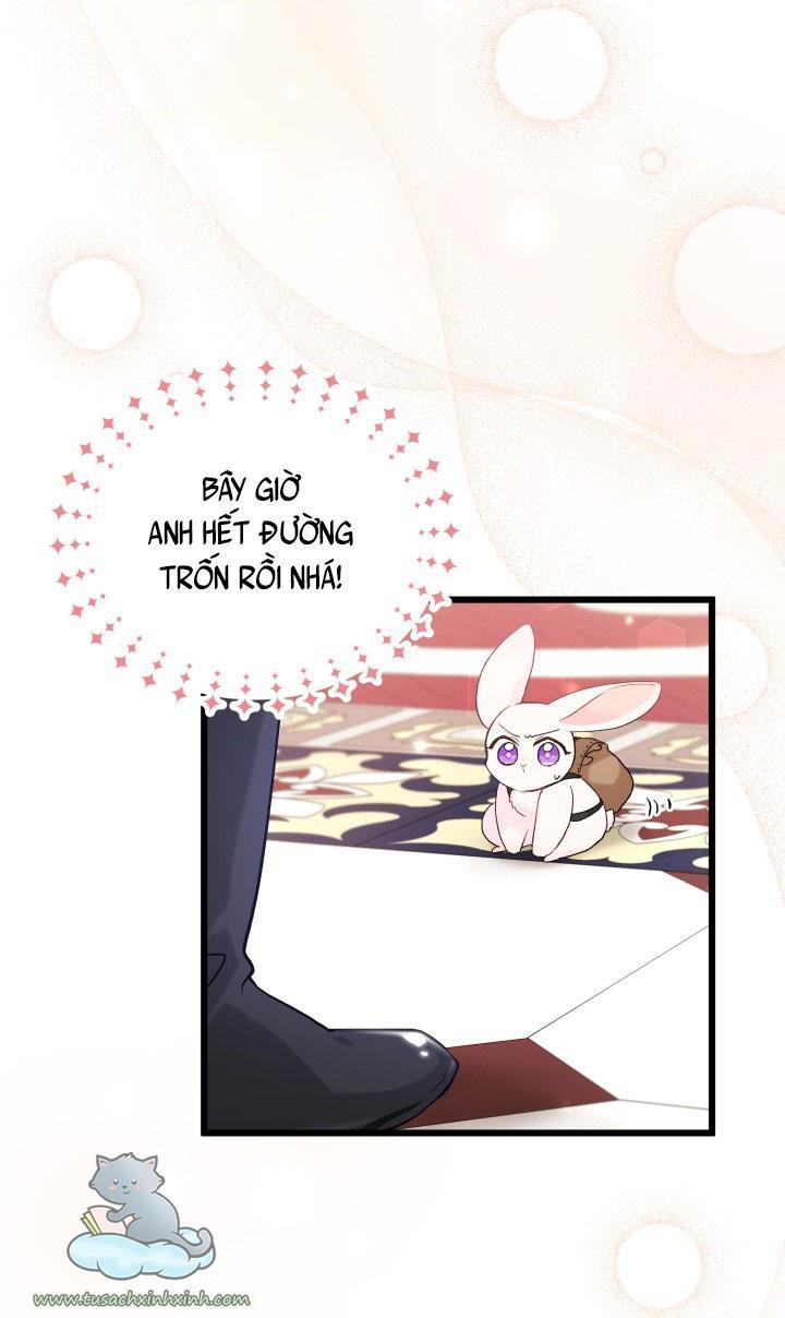 quan hệ cộng sinh giữa báo đen và thỏ trắng chapter 59 49
