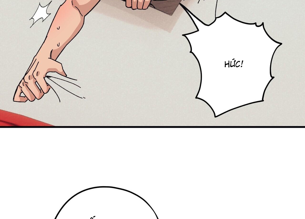 chàng dâu nhà họ kang chapter 44 139