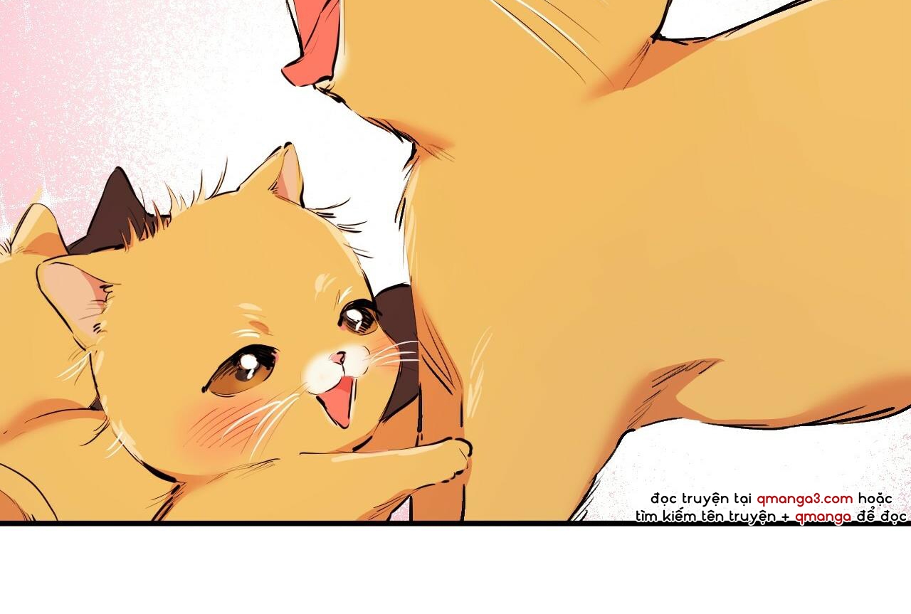 đàn thỏ của habibi chapter 32 34