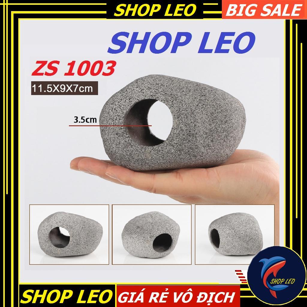 Hang cá ali - hang pleco - trang trí bể tép - bể thủy sinh - hồ cá cảnh