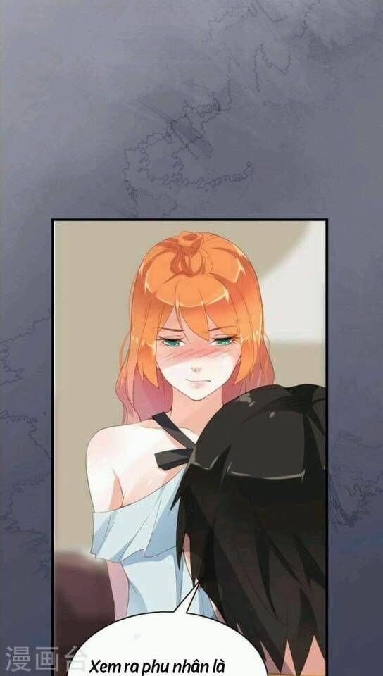 người vợ bí ẩn của tổng tài chapter 17.5 16