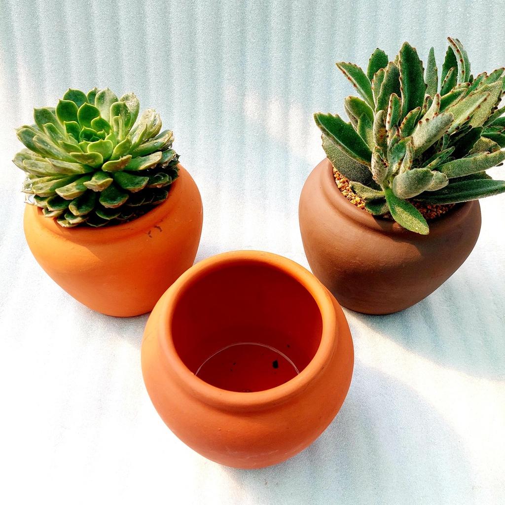 Chậu đất nung - Chum lùn, đường kính miệng 14cm, chiều cao 15cm