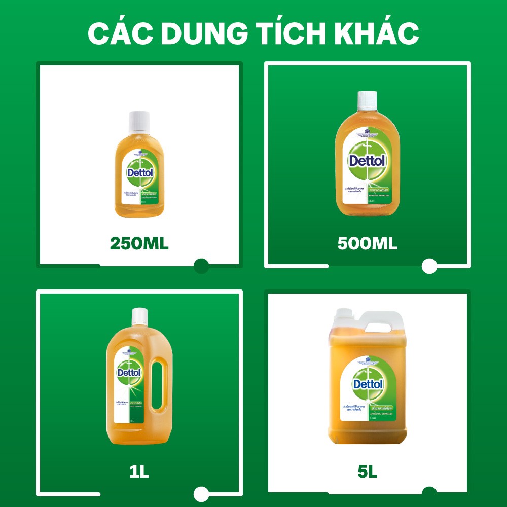 Dung dịch diệt khuẩn đa năng Dettol 500ml +Leaflet