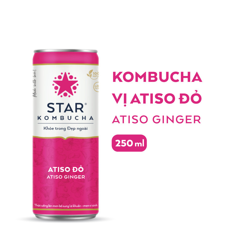 Thùng 12 lon thức uống lên men STAR KOMBUCHA Atiso đỏ / Atiso Ginger