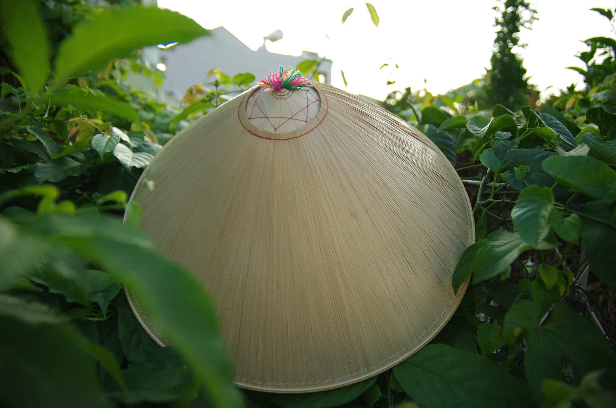 Nón Ngựa Bình Định