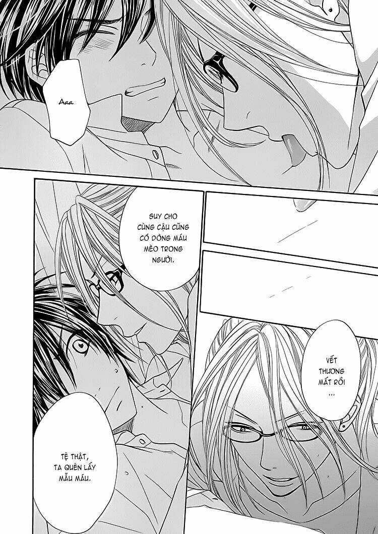 nekoka danshi no shitsukekata chapter 5 41