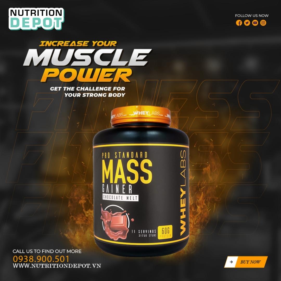 Sữa tăng cân và tăng cơ Wheylabs Mass Gainer Pro Standard 3.1kg - Tặng kèm BCAA 30 lần dùng - Nutrition Depot Vietnam