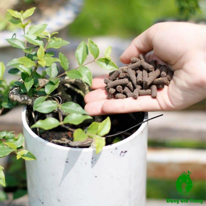 Phân trùn quế viên nén Sfarm Chuyên Dùng Cho Lan và các Loại Cây Trồng 1kg