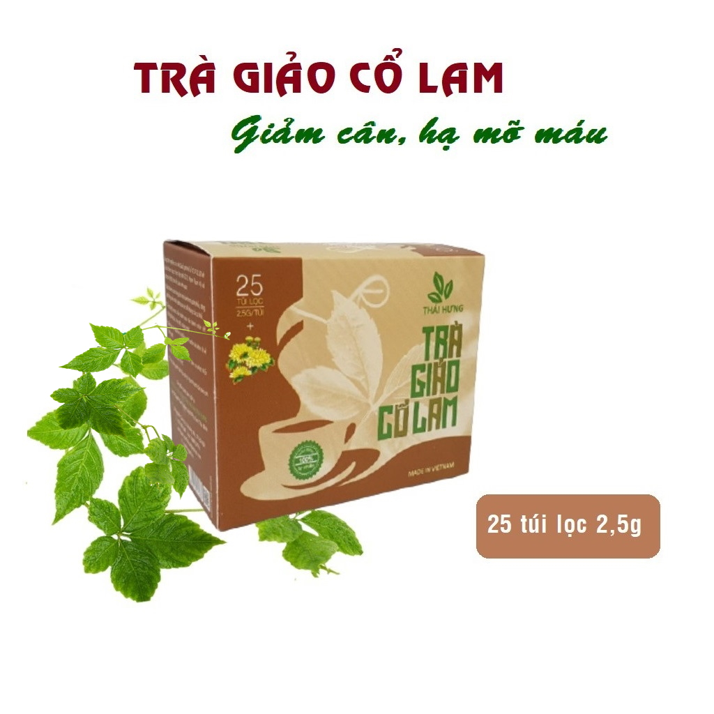 Combo 04 Hộp Trà thảo dược cao cấp Thái Hưng: GIẢO CỔ LAM (25 túi lọc 2,5g)
