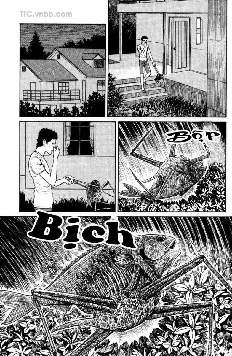 quái vật biển chapter 2 2