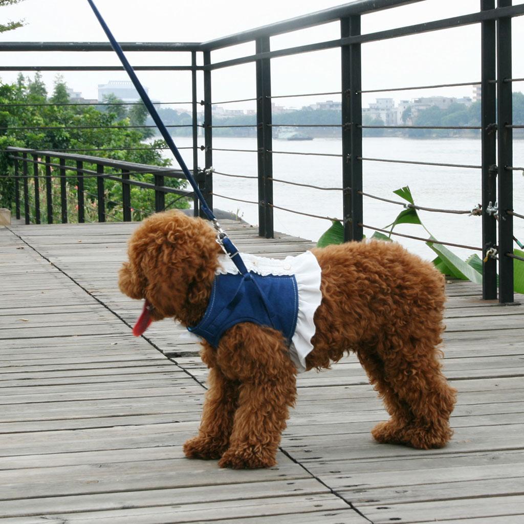Pet Dog Harness Leash Pet Costume Clothes for Small Pet Cat Puppy