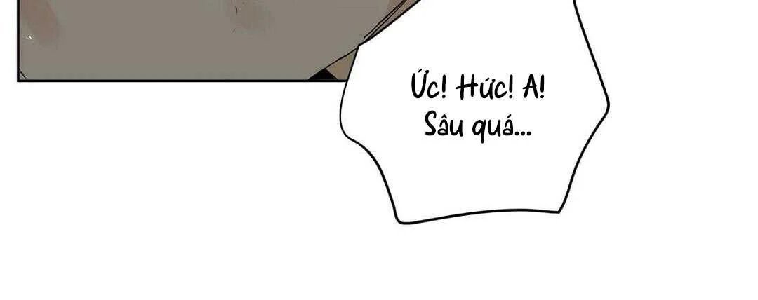 guide cấp b chapter 38 101