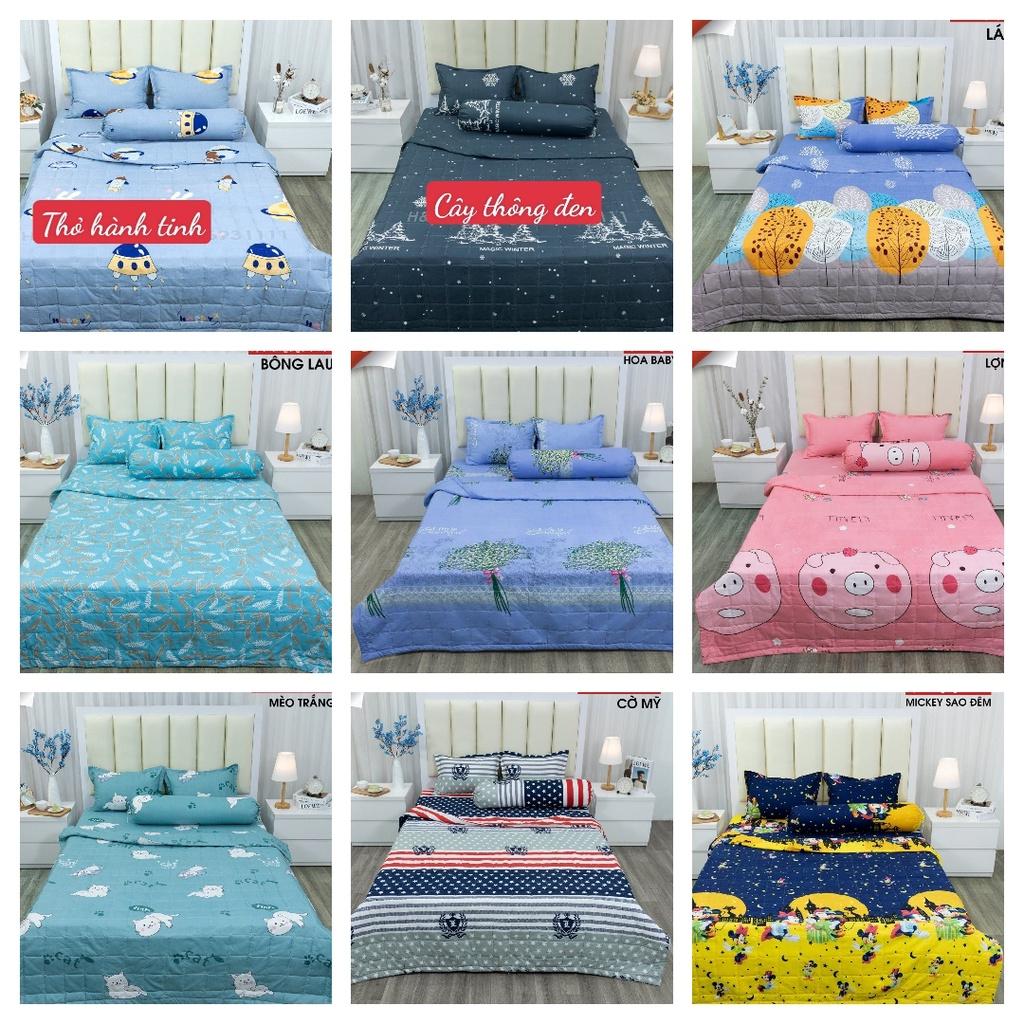Bộ Ga Gối 3 Món Đủ Kích Thước,Gồm 1 Ga 2 Vỏ Gối