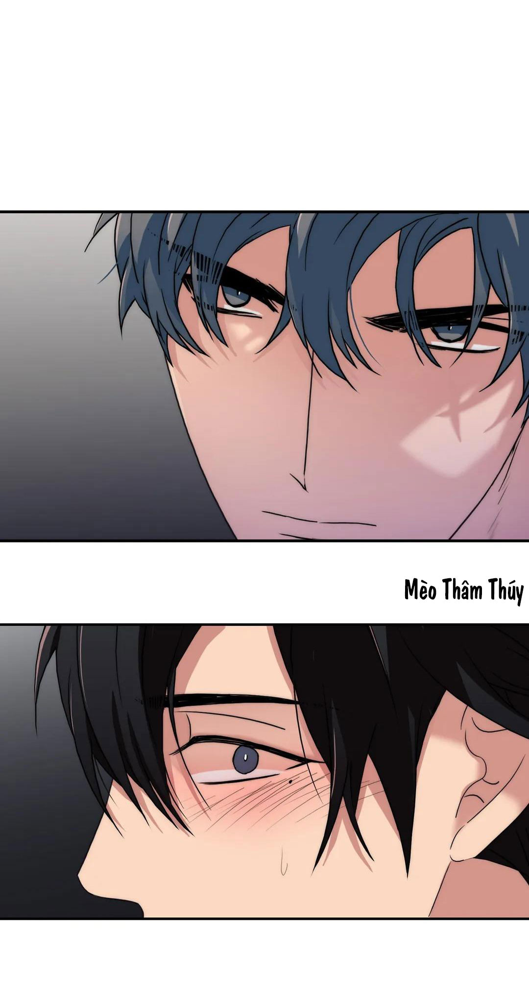 đưa đón người yêu chapter 90 72