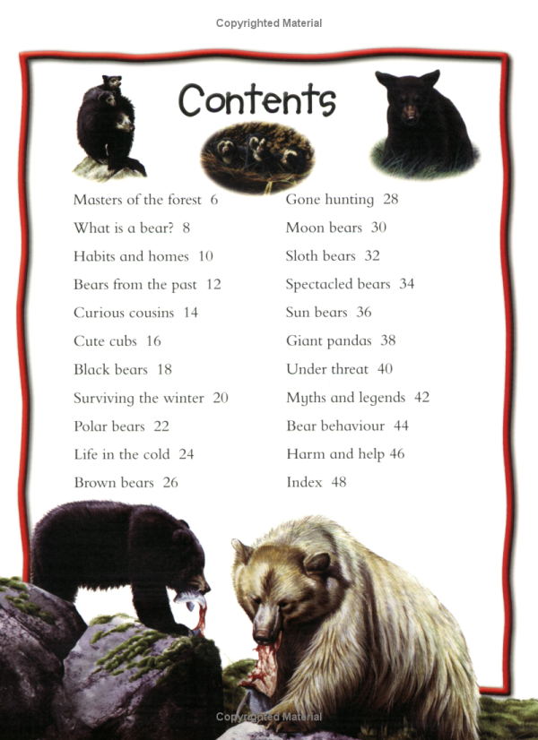 Bears (100 Facts)