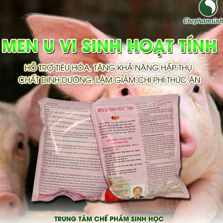 1kg MEN Vi Sinh HOẠT TÍNH - MEN Ủ Thức Ăn Vi Sinh Hoạt Tính được dùng để lên men thức ăn, sẽ giúp chúng ta làm chín thứ