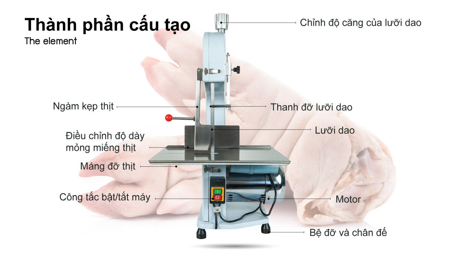 Máy Cắt Xương, Máy Cưa Xương, Máy Thái Xương, Máy Cắt Thịt Đông Lạnh BC130 Tốt Nhất Thị Trường. Hoạt Động Công Suất Cao 24/7, Dễ Vận Hành, Tiết Kiệm Điện Năng, Hàng Nhập Khẩu Cao Cấp