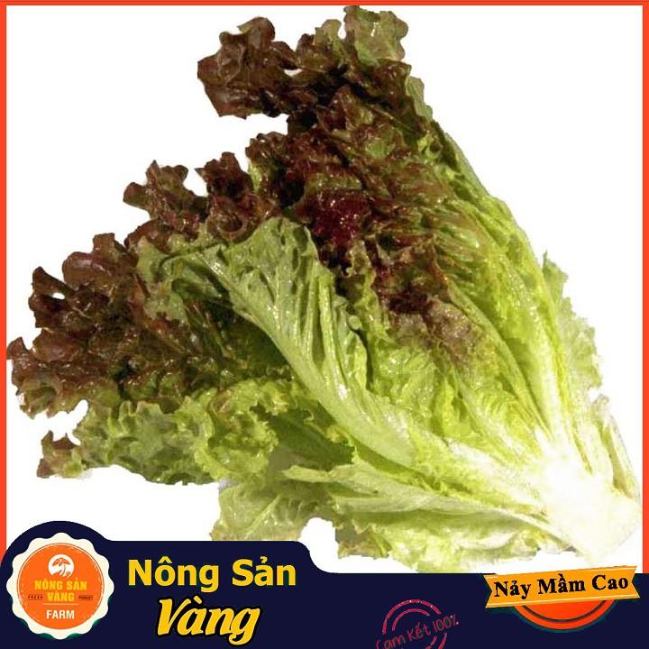 Hạt giống Xà Lách Tím Năng Suất Cao ( Gói 1 Gram ) - Nông Sản Vàng