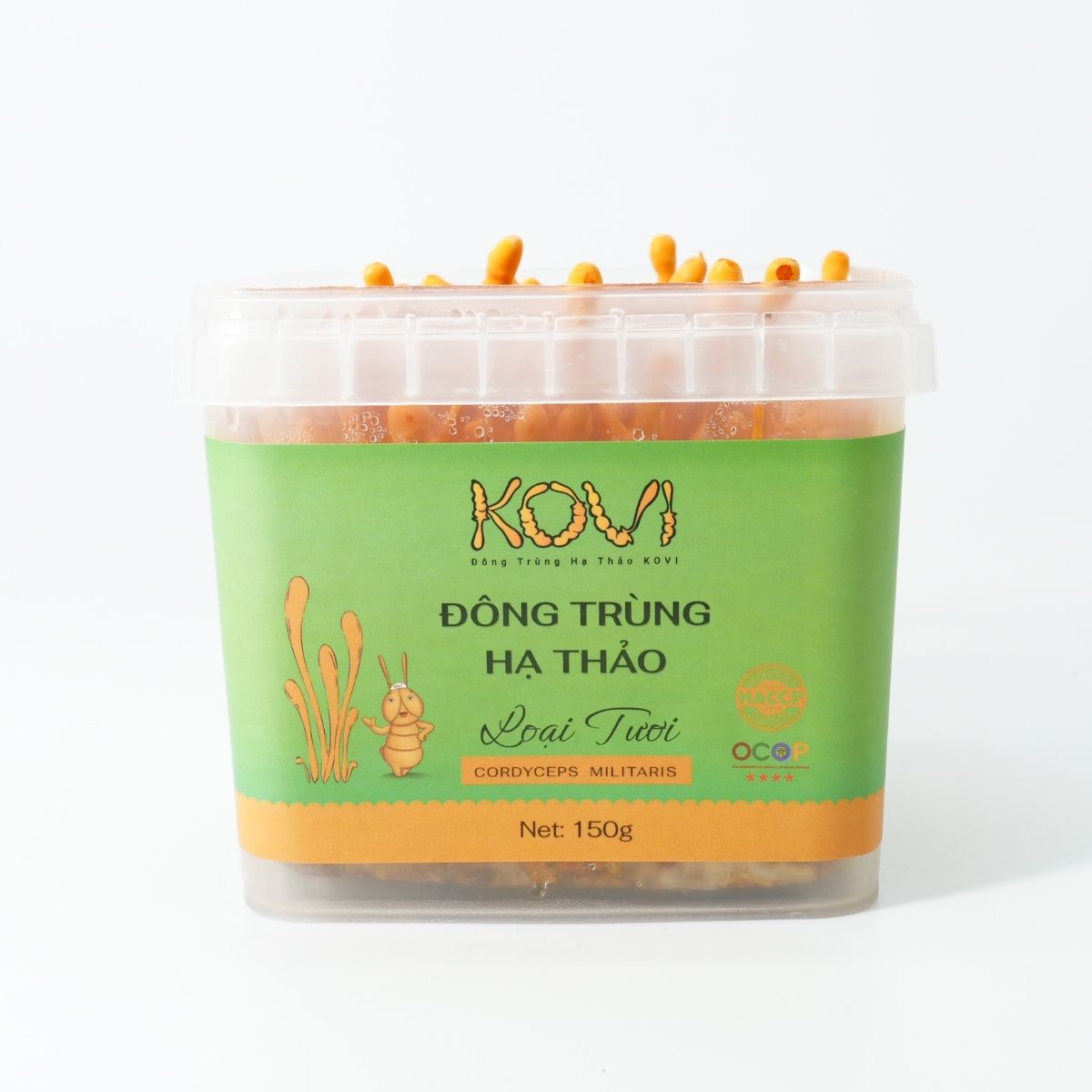 [Mua 5 tặng 1] Đông trùng hạ thảo KOVI dạng tươi | 700ml | 150g | Mua 10 tặng 1