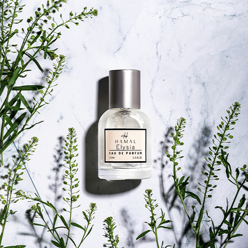 Nước hoa Nữ Hamal Parfums Eau De Parfum 35ml 