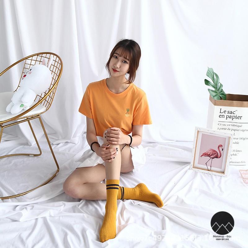 Vải phông nền chụp ảnh mẫu lookbook đồ thời trang và livestream bán hàng size cực lớn