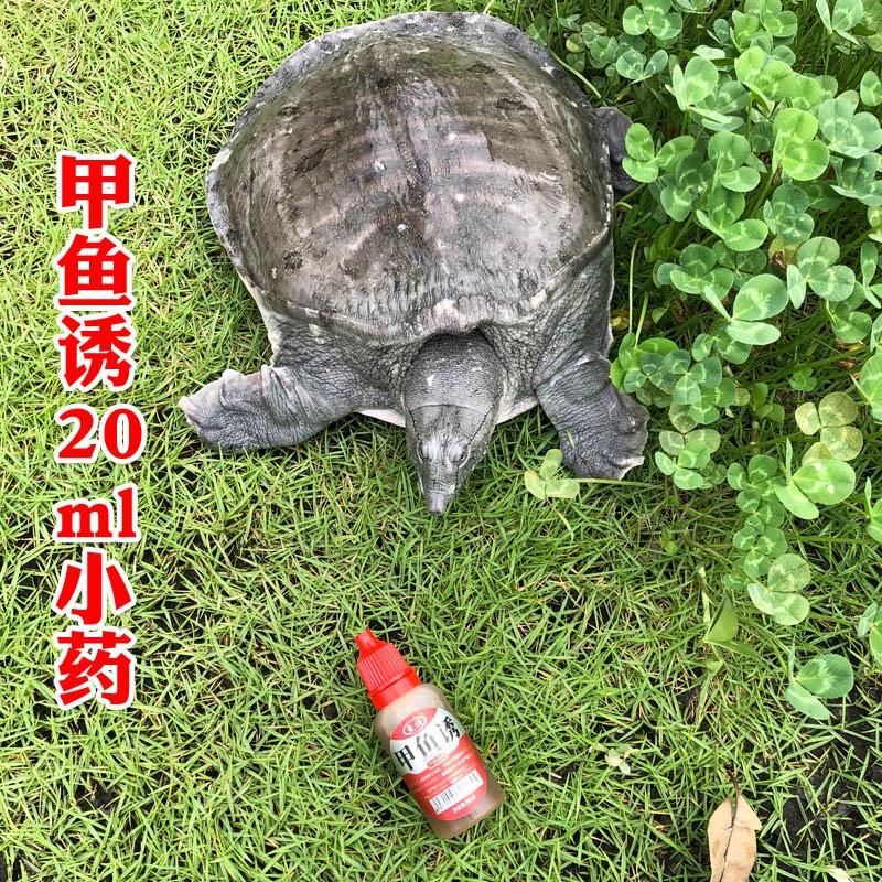Mồi dụ ba ba 20ml siêu nhậy