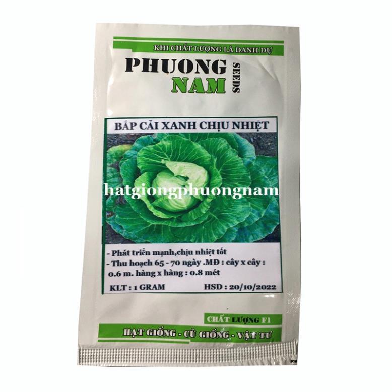 0.5 GR - HẠT GIỐNG BẮP CẢI XANH CHỊU NHIỆT