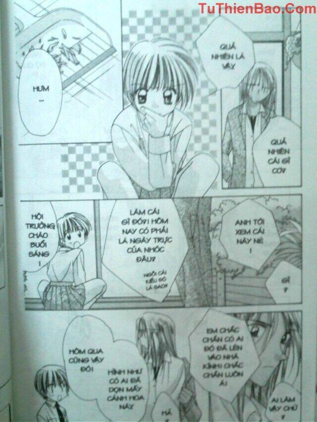 nguyện ước dưới ánh sao chapter 8 50