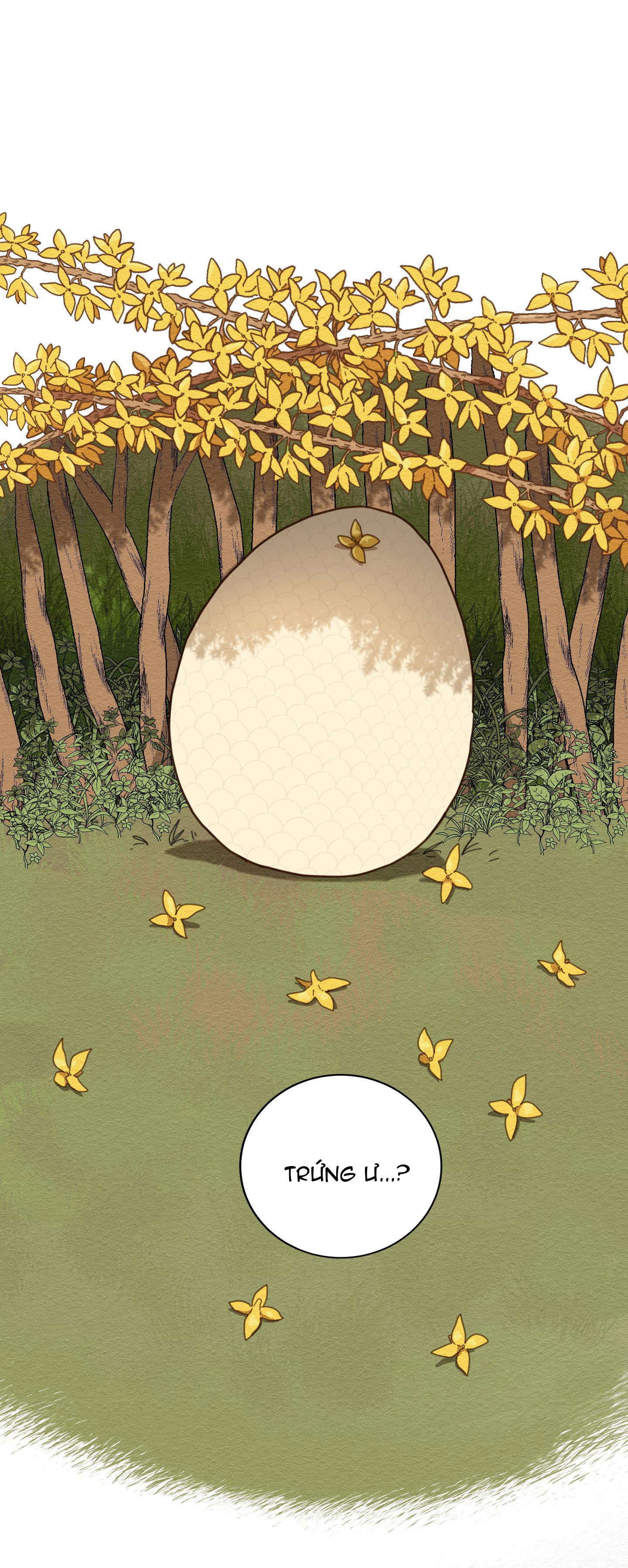 đường hoa liên kiều rơi chapter 1 33