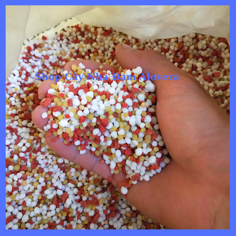 Phân NPK 20-20-15+TE+BO USA Cao Cấp Chuyên Hoa Màu Cây Cảnh