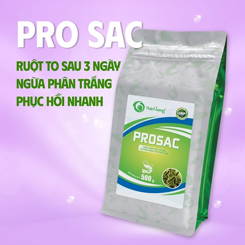 MEN ĐƯỜNG RUỘT CHO TÔM GIÚP TĂNG SỨC KHỎE ĐƯỜNG RUỘT, NONG TO ĐƯỜNG RUỘT, GIÚP RUỘT ĐEN, PHÂN CHẮC, HẤP THU THỨC ĂN TỐT PRO SAC