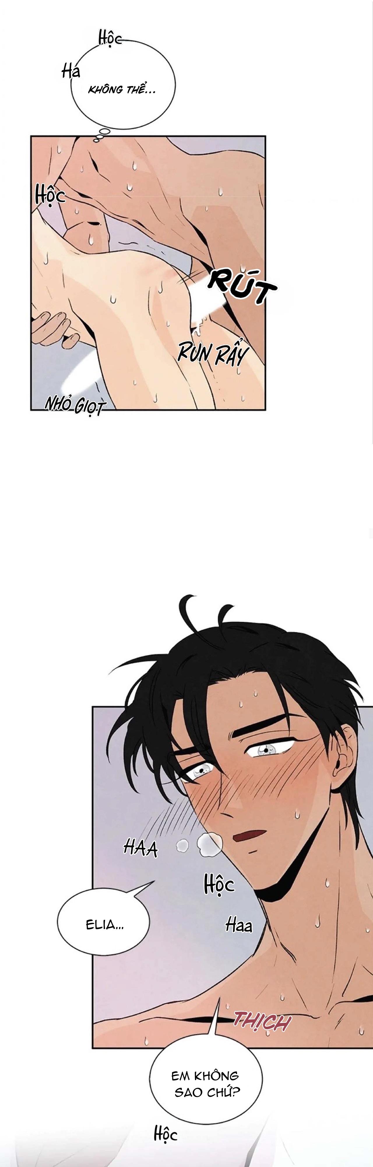 bona sort chapter 20 28