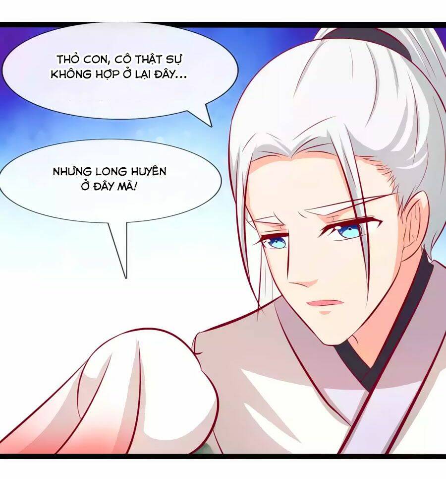 thỏ yêu tiểu vương phi chapter 66 18