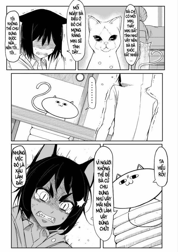 đây là câu chuyện về một con mèo chapter 0 11