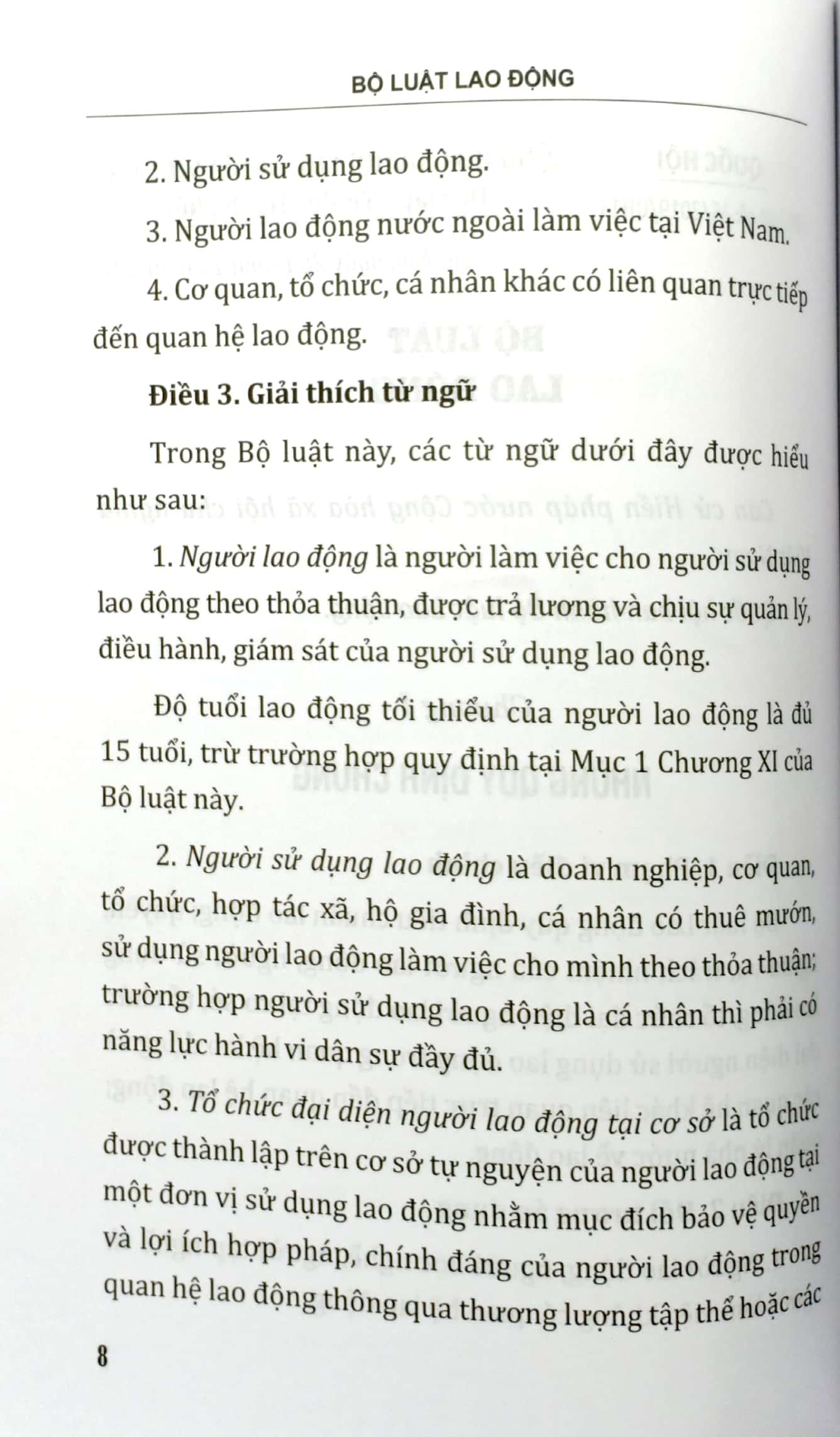 Sách Bộ Luật Lao Động Của Nước Cộng Hòa Xã Hội Chủ Nghĩa Việt Nam (Áp Dụng Từ Ngày 01-01-2021)
