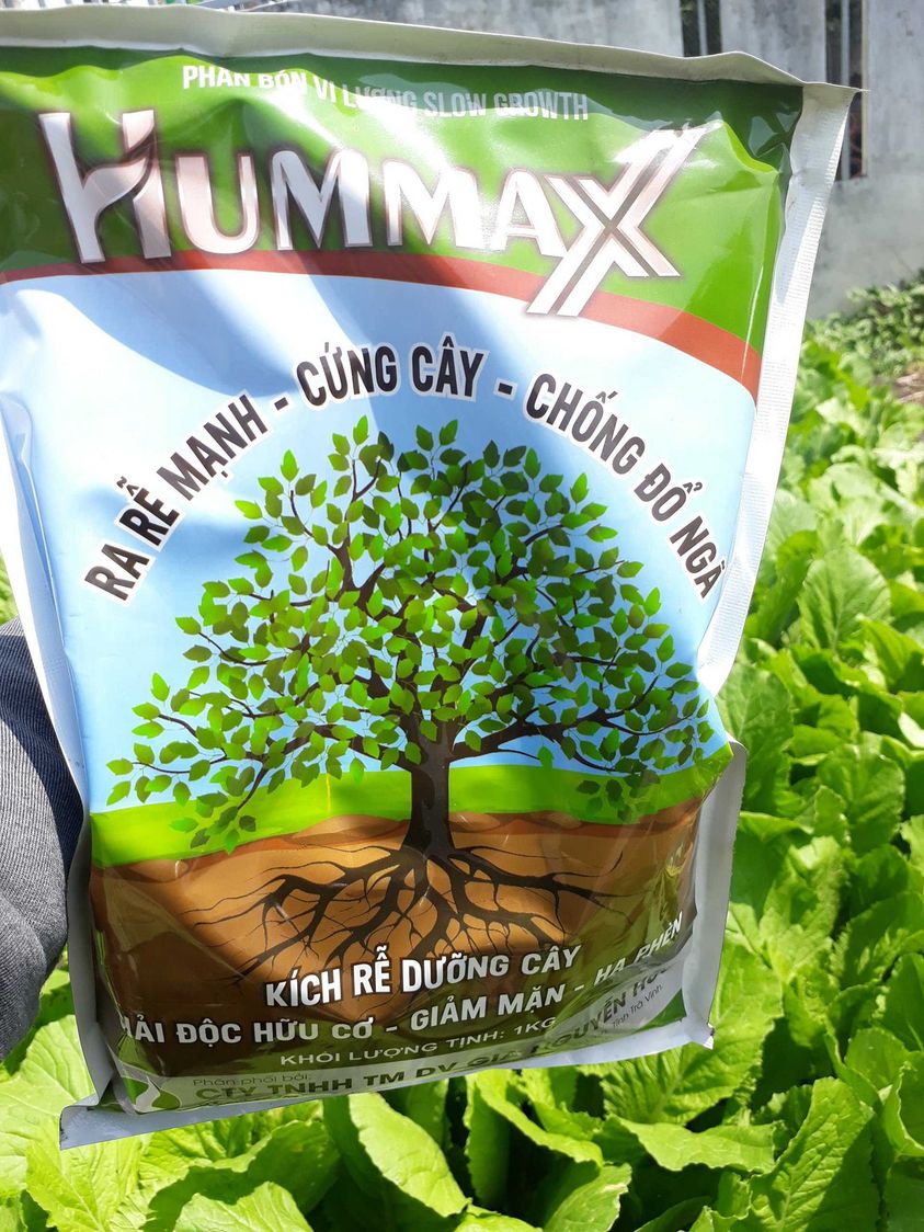 HUMMAX - Ra rễ mạnh, cứng cây - Giúp cây ra đọt non mạnh, đẻ nhánh cực khỏe, lá xanh mướt, bóng dày.