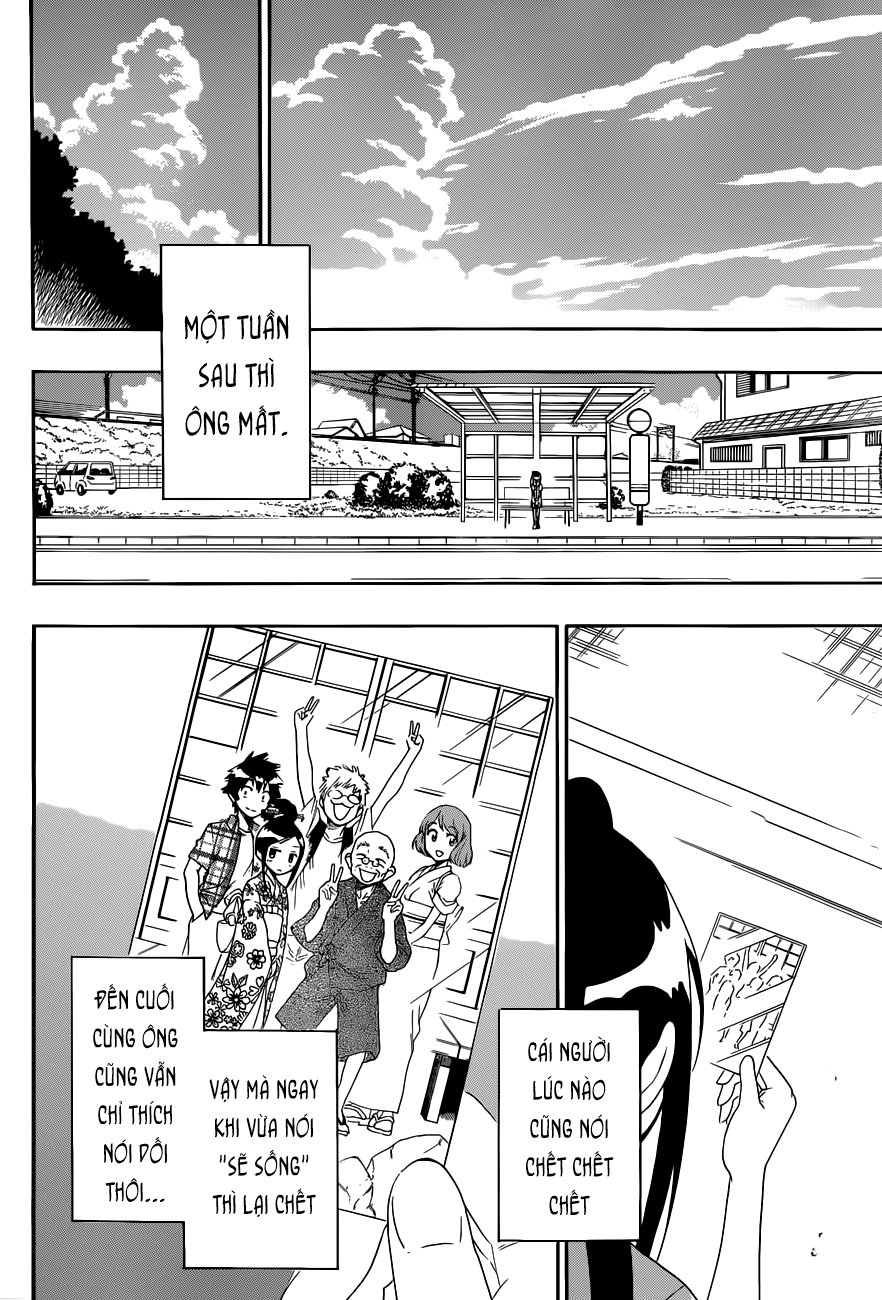 nisekoi - tình yêu giả tạo chapter 115 17