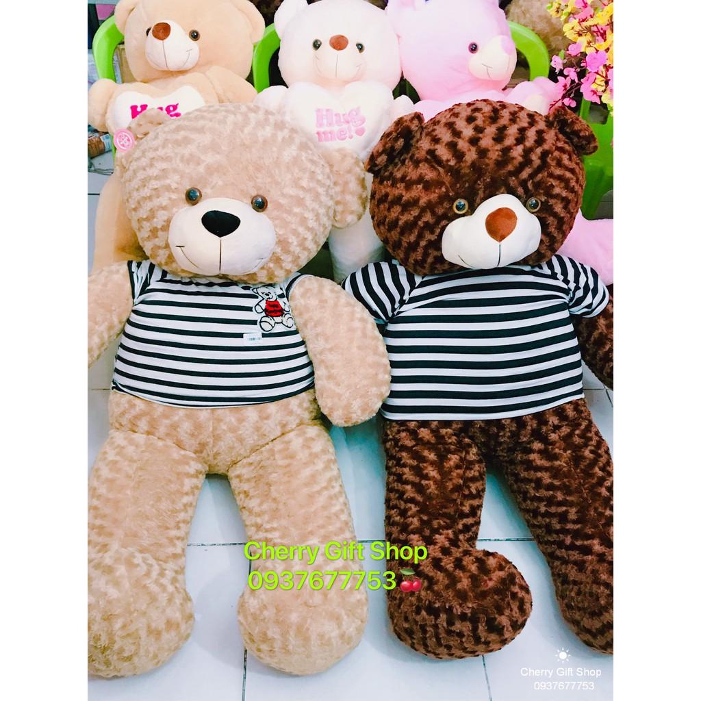 Gấu Bông Teddy Áo Thun Cao Cấp Giá Sốc 1m4 Ảnh Shop Chụp