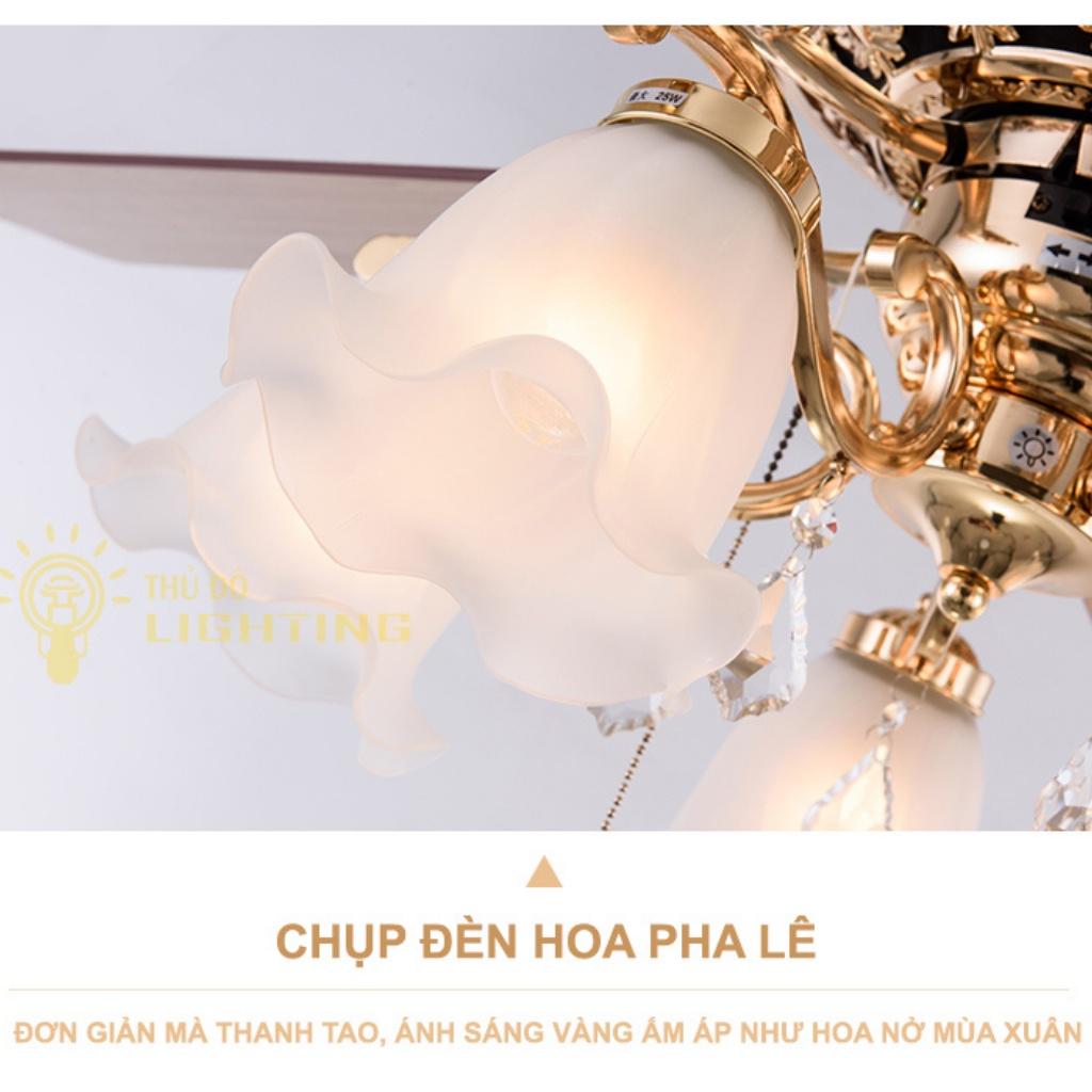 Quạt Trần Đèn 5 Cánh THỦ ĐÔ LIGHTING Hoa Lan Chuông Chất Liệu Hợp Kim, Thủy Tinh Có Điều Khiên Từ Xa 52ZSM-516