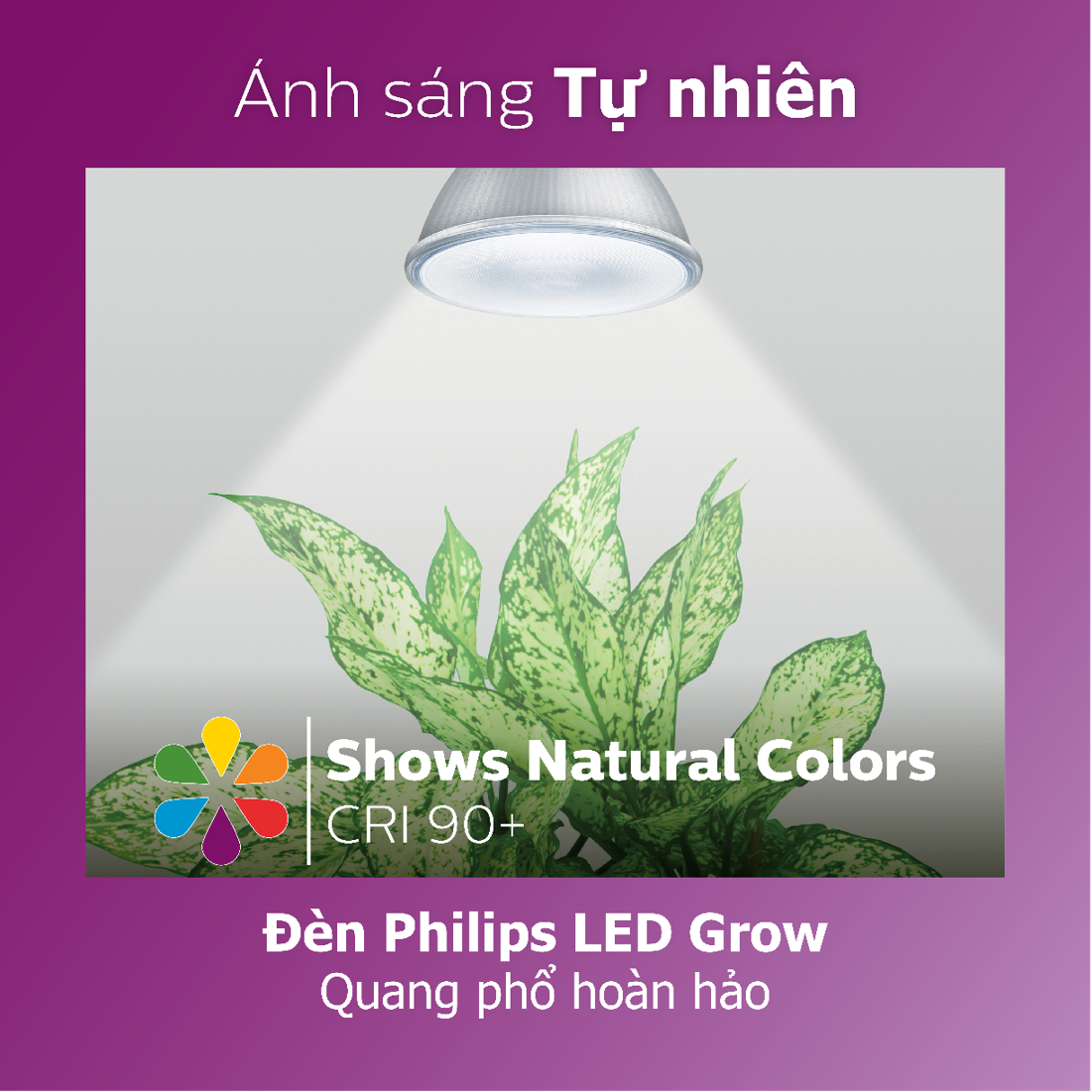 Đèn chiếu cây Philips LED Grow