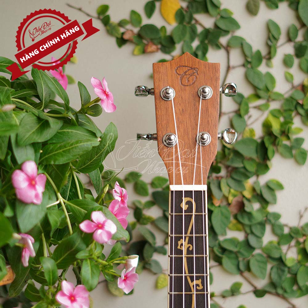 Đàn Ukulele Concert U 24INCH Gỗ Gụ Cao Cấp Siêu Bền - Hàng Chính Hãng